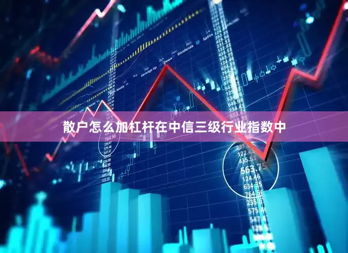 散户怎么加杠杆在中信三级行业指数中